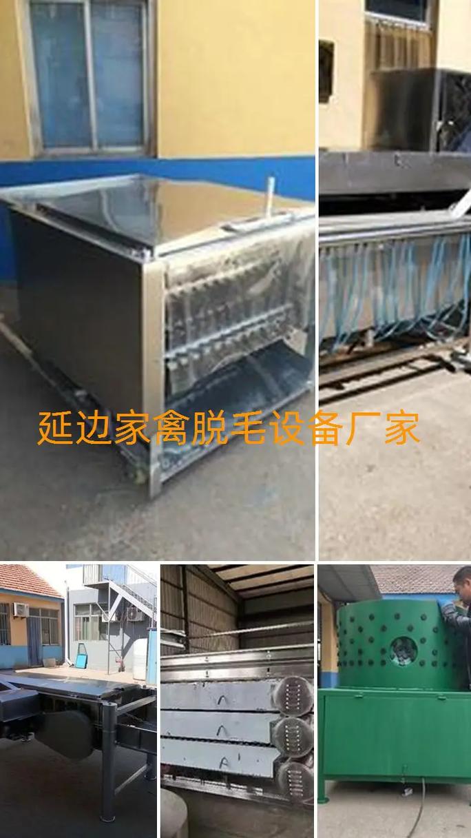 延边家禽脱毛设备厂家 【咨询:l88-5387-ll66】延 - 抖音